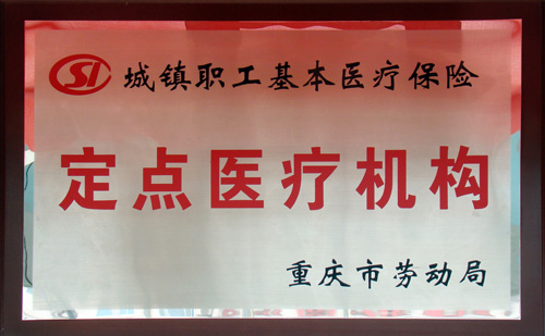 城(chéng)鎮職工(gōng)基本醫(yī)療保險定點醫(yī)療機(jī)構